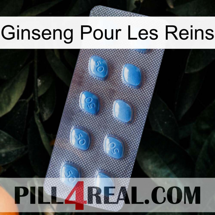 Ginseng For Kidney viagra3